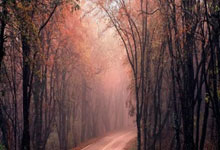 罗体：那不勒斯与国米竞争卢卡，博尼是备选方案.