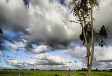 [网球]蒋欣玗／吴芳娴获得多哈站女双亚军.