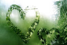 星空体育官网：百米个人积分清零 为参加巴黎奥运会 苏炳添要和时间赛跑羊城晚报.